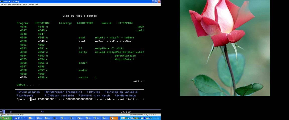 JPEG image
