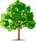 PNG image